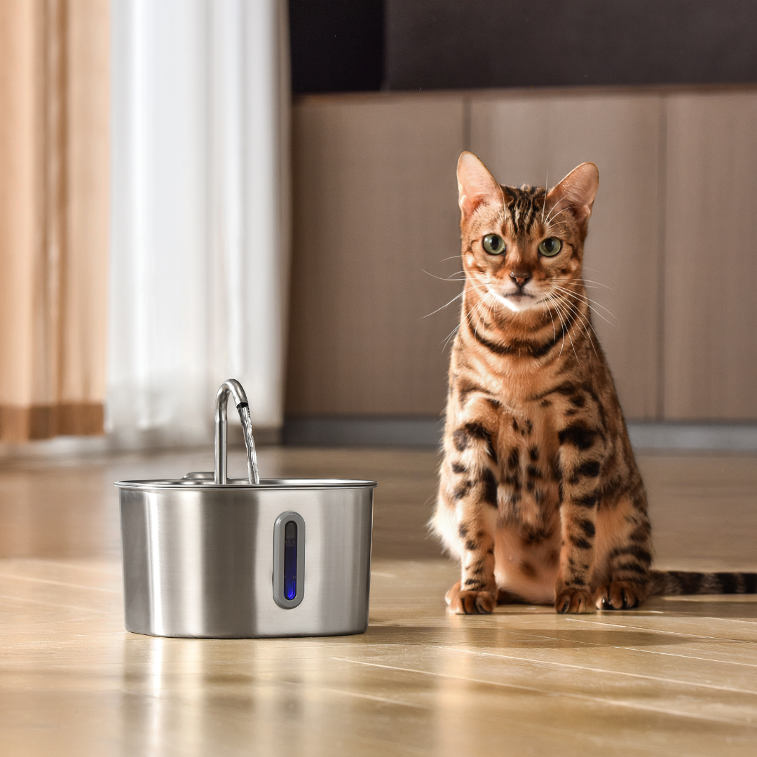 The KittySpout™ - 2.2L Fountain 2–month Kit
