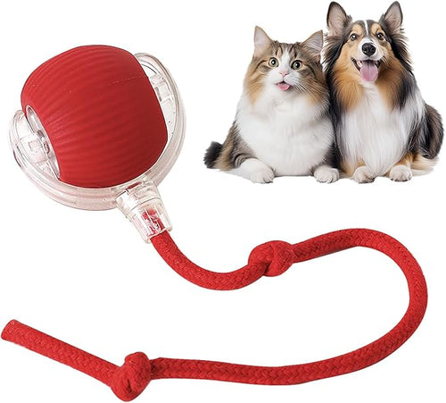 The Ultimate Smart Ball for Playful Pets